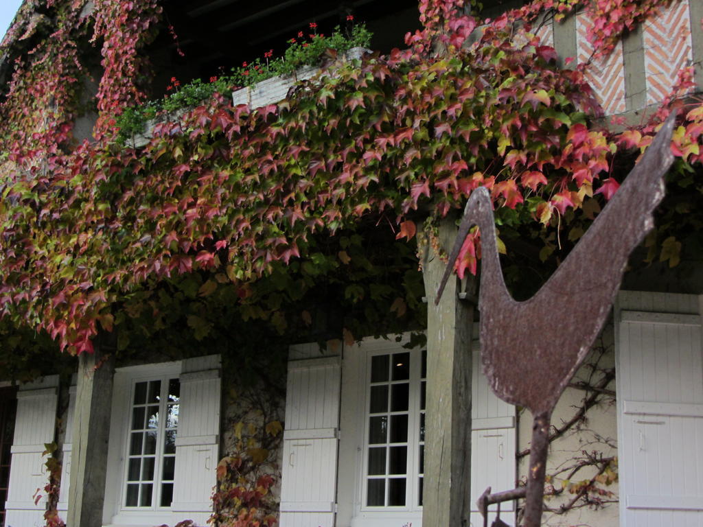 Les Vieux Guays Bed & Breakfast Cerdon  ภายนอก รูปภาพ