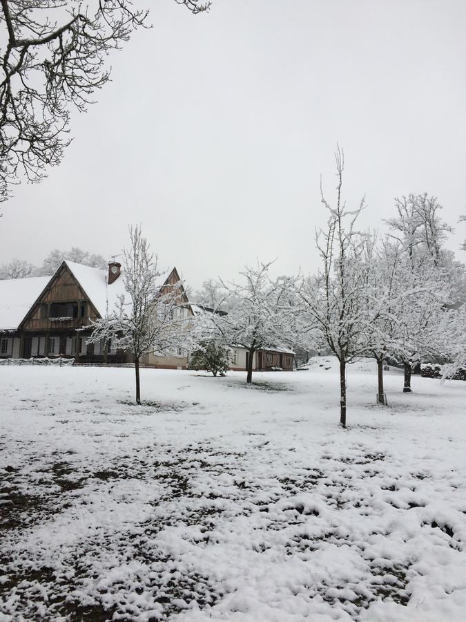 Les Vieux Guays Bed & Breakfast Cerdon  ภายนอก รูปภาพ